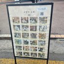 강남역 데이트 강남 고양이카페 모카 솔직후기