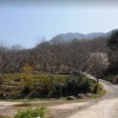 여수대성공인중개사사무소 이미지