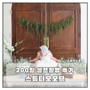 200 | 청주무인스튜디오 스튜디오오브 아기 200일 촬영 후기