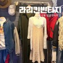 11590-라31-2 | 대전 둔산동 빈티지샵 라리킨빈티지, 감성 가득한 힙한 빈티지 성지 방문 후기