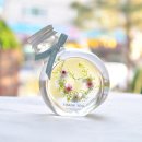 하바루디자인 이미지