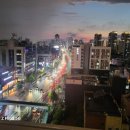 금강송행정사사무소 이미지