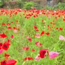 북천 공중화장실 이미지