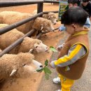 이화목장 이미지