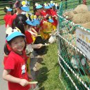 석천목장 이미지