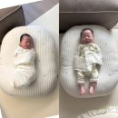 (주)유니콘51 | 50일 육아일기