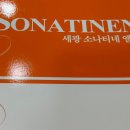 소나타음악교습소