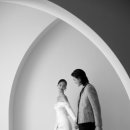 포레제이 이미지