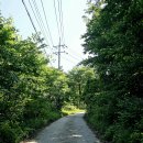 화천배머리펜션 | 길 20, 21코스 화천 명월2리정류장-만산령-만산동계곡-청정아리풍차펜션-신대교-화천천-화천대교 여행기록