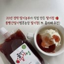 대건2농장 | 딸기청 추천] 20년째 딸기농사 경력 ✅ 직접 수확한 딸기로 만든 제품 ❤️, 볼빨간딸기멜론농장 딸기청 후기❗️
