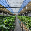 수향농장 이미지