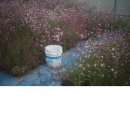 영이네농장 이미지