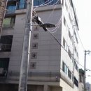 온곡중학교노원정보도서관 이미지