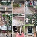 멜로테일 | 서울은여전히서울인데터키는튀르키예야? ... istanbul 01