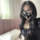 놀러와 피시 이미지
