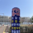 청춘회물회