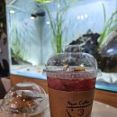 아쿠아 커피연구소 이미지