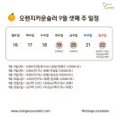 오렌지스터디 이미지