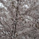 명륜진사갈비군산본점 이미지