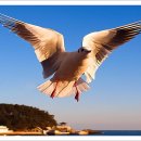 지구레코드 이미지