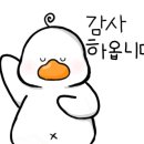 광명인삼 이미지