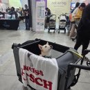 마이펫하우스 | [행복할개키치] 피카고 킹앤퀸과 함께한 마이펫페어 송도 후기 (슈퍼포우·OKTK 등)