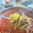 유가네한우곰탕 이미지