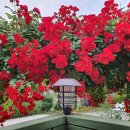 산마루카페 이미지