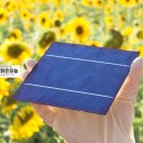 명지태양광발전소 이미지