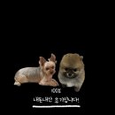 상아아트빌라 경로당 | 인천구월동 상아네일에서 패디 받고 온 후기