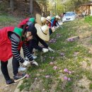 한양삼십리누리길 이미지