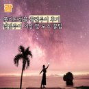 별빛여행 | 괌 몽키트래블 돌핀투어 후기 | 괌 여행 별빛투어 의상 및 포즈 꿀팁 총정리
