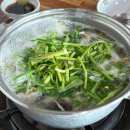 남해식당 | 남해 맛집 '지산식당' 내돈내산 복국 후기