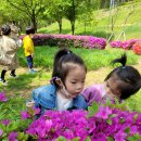 경일공원 이미지