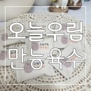 그램웰 오늘우림 만능육수 : 한알로 간편한 육수만들기👍