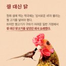 #2669 나는 누구인가? - 닭,오리,꿩 그리고 칠면조 이미지