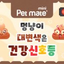 닥터차 동물병원 이미지