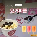 요거트아이스크림&요거피플