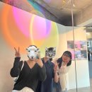 키피콩 | 저는 여름이 좋아요 정말요.
