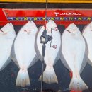 672 | 마리수 외수질로드 붉바리 낚시대, 광어 다운샷까지 챙기는 칼라인 672 실사용 후기