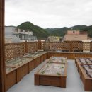 향기나무어린이집 이미지