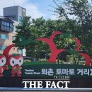 강동로-22 더팩트