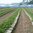 정화농장 이미지