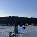 자연에서 마주하는 나의 내면 - (사)한국명상학회 집중수련회 참여 후기