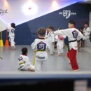 진영라온태권도장 이미지