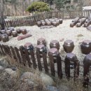 속리산 숲체험휴양마을 이미지