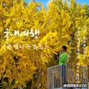 점곡초등학교 화장실 이미지