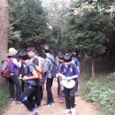 팔용중학교 이미지