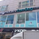 해운대 펫택시 이미지