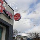 멍이랑옹이랑 이미지